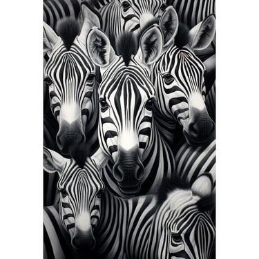 Zebra Herd Canvas